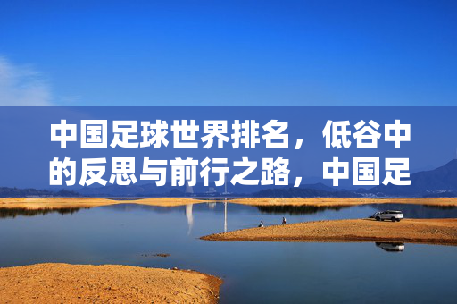 中国足球世界排名，低谷中的反思与前行之路，中国足球低谷反思与前行之路
