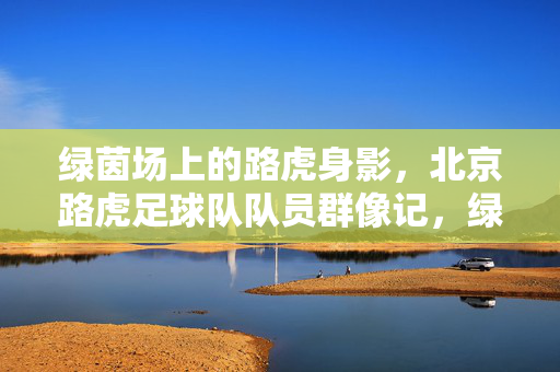 绿茵场上的路虎身影，北京路虎足球队队员群像记，绿茵场上的路虎群像，北京路虎足球队队员记