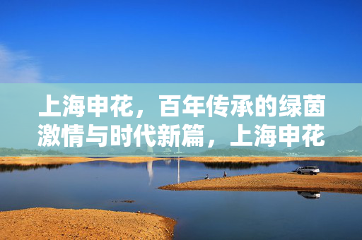 上海申花，百年传承的绿茵激情与时代新篇，上海申花，百年传承绿茵梦，时代新篇再启航