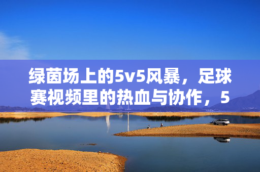 绿茵场上的5v5风暴，足球赛视频里的热血与协作，5v5风暴，绿茵场上的热血协作战