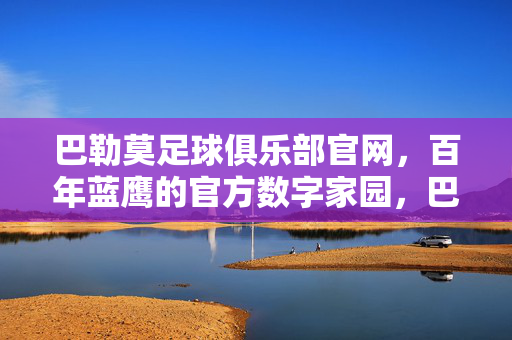 巴勒莫足球俱乐部官网，百年蓝鹰的官方数字家园，巴勒莫足球俱乐部官网，百年蓝鹰的官方数字家园