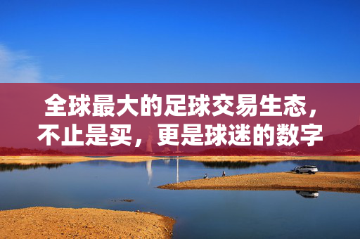 全球最大的足球交易生态，不止是买，更是球迷的数字足球家园，全球最大足球交易生态，球迷的数字足球家园