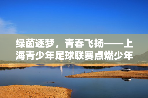 绿茵逐梦，青春飞扬——上海青少年足球联赛点燃少年足球热情，上海青少年足球联赛点燃少年足球热情