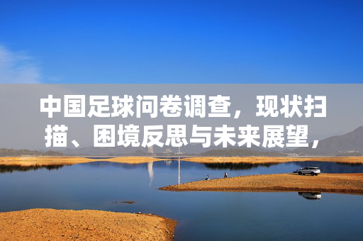 中国足球问卷调查，现状扫描、困境反思与未来展望，中国足球问卷调查，现状扫描、困境反思与未来展望
