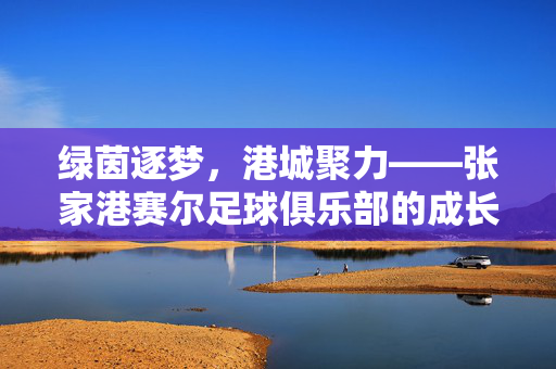 绿茵逐梦，港城聚力——张家港赛尔足球俱乐部的成长与担当