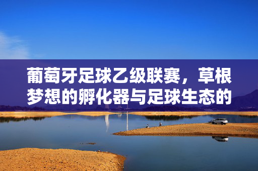 葡萄牙足球乙级联赛，草根梦想的孵化器与足球生态的基石，葡萄牙乙级联赛，草根梦想的孵化器与足球生态基石