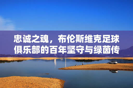 忠诚之魂，布伦斯维克足球俱乐部的百年坚守与绿茵传奇，百年忠诚铸魂，布伦斯维克绿茵传奇