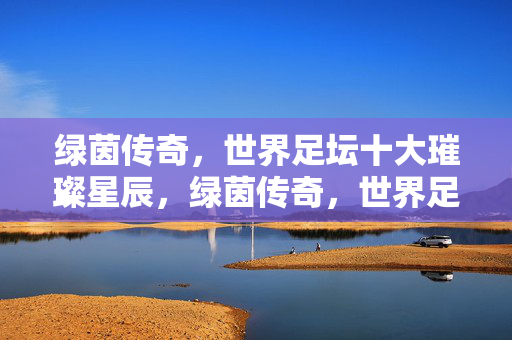 绿茵传奇，世界足坛十大璀璨星辰，绿茵传奇，世界足坛十大璀璨星辰
