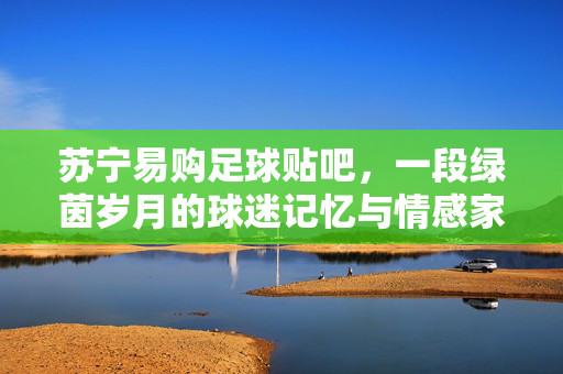 苏宁易购足球贴吧，一段绿茵岁月的球迷记忆与情感家园，苏宁易购足球贴吧，绿茵岁月里的球迷记忆与情感家园
