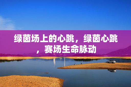 绿茵场上的心跳，绿茵心跳，赛场生命脉动
