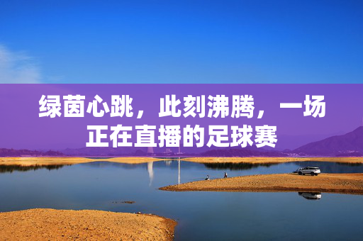 绿茵心跳，此刻沸腾，一场正在直播的足球赛