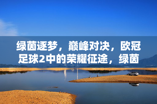 绿茵逐梦，巅峰对决，欧冠足球2中的荣耀征途，绿茵逐梦巅峰对决，欧冠足球2荣耀征途