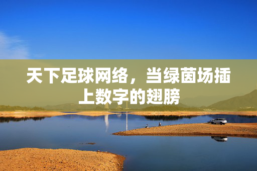 天下足球网络，当绿茵场插上数字的翅膀