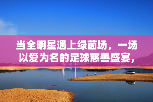 当全明星遇上绿茵场，一场以爱为名的足球慈善盛宴，全明星绿茵足球慈善盛宴