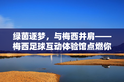 绿茵逐梦，与梅西并肩——梅西足球互动体验馆点燃你的足球热情，梅西足球互动体验馆，绿茵逐梦并肩，点燃足球热情
