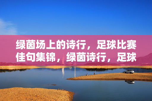 绿茵场上的诗行，足球比赛佳句集锦，绿茵诗行，足球佳句集锦