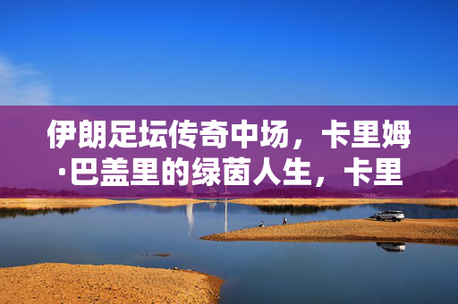 伊朗足坛传奇中场，卡里姆·巴盖里的绿茵人生，卡里姆·巴盖里，伊朗足坛传奇中场的绿茵人生