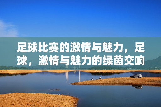 足球比赛的激情与魅力，足球，激情与魅力的绿茵交响