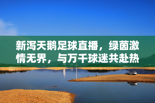 新泻天鹅足球直播，绿茵激情无界，与万千球迷共赴热爱之约，新泻天鹅足球直播，绿茵激情无界，与万千球迷共赴热爱之约