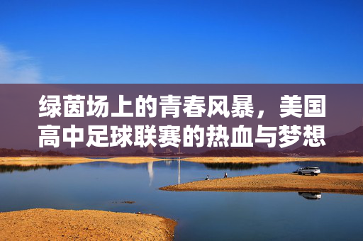 绿茵场上的青春风暴，美国高中足球联赛的热血与梦想，绿茵风暴，美国高中足球联赛的青春热血与梦想