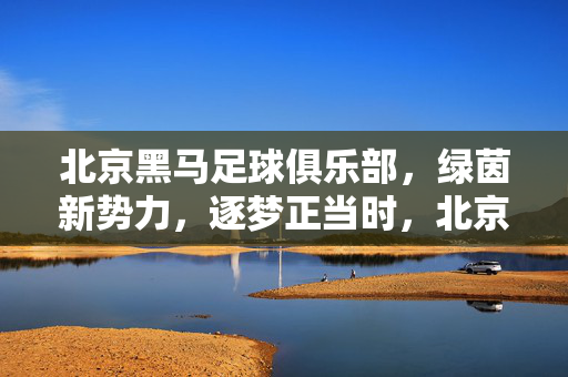 北京黑马足球俱乐部，绿茵新势力，逐梦正当时，北京黑马，绿茵新势力，逐梦正当时