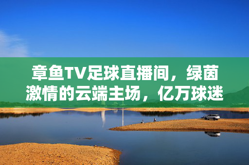 章鱼TV足球直播间，绿茵激情的云端主场，亿万球迷的指尖狂欢，章鱼TV足球直播间，绿茵云端主场，亿万球迷指尖狂欢