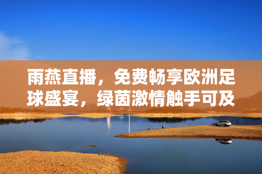 雨燕直播，免费畅享欧洲足球盛宴，绿茵激情触手可及，雨燕直播免费畅享欧洲足球盛宴，绿茵激情触手可及