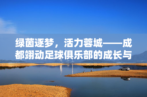 绿茵逐梦，活力蓉城——成都翊动足球俱乐部的成长与热爱，成都翊动，绿茵逐梦中的成长与热爱