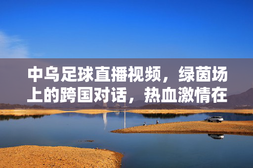 中乌足球直播视频，绿茵场上的跨国对话，热血激情在线沸腾，中乌足球直播，绿茵跨国对话，热血激情沸腾