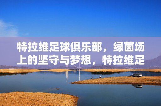 特拉维足球俱乐部，绿茵场上的坚守与梦想，特拉维足球俱乐部，绿茵场上的坚守与梦想