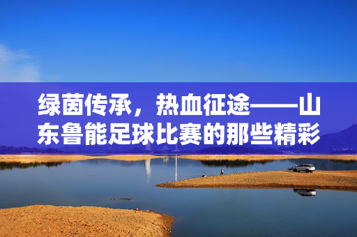 绿茵传承，热血征途——山东鲁能足球比赛的那些精彩瞬间，绿茵传承，热血征途