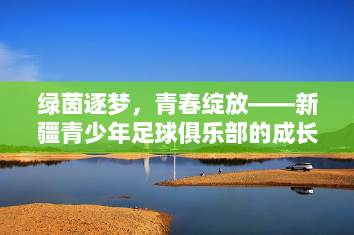 绿茵逐梦，青春绽放——新疆青少年足球俱乐部的成长之路