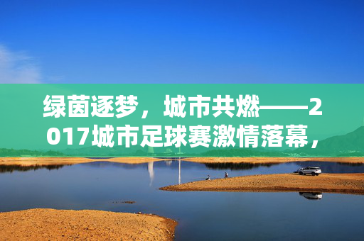 绿茵逐梦，城市共燃——2017城市足球赛激情落幕，绿茵逐梦燃激情，2017城市足球赛圆满落幕