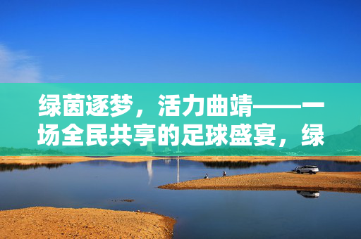绿茵逐梦,活力曲靖——一场全民共享的足球盛宴,绿茵逐梦,活力曲靖——全民足球盛宴