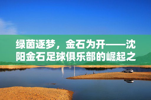 绿茵逐梦,金石为开——沈阳金石足球俱乐部的崛起之路,绿茵逐梦,金石为开