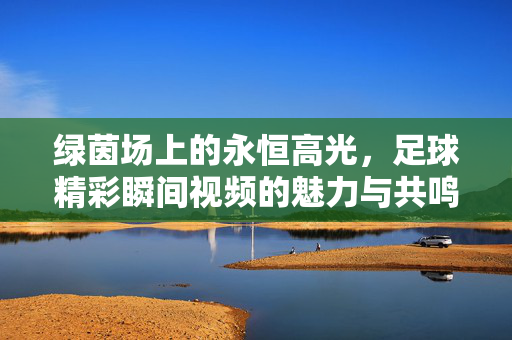 绿茵场上的永恒高光,足球精彩瞬间视频的魅力与共鸣,绿茵场永恒高光,足球精彩瞬间的魅力共鸣