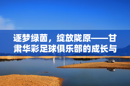 逐梦绿茵，绽放陇原——甘肃华彩足球俱乐部的成长与坚守，逐梦绿茵，绽放陇原，甘肃华彩足球俱乐部的成长与坚守