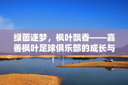 绿茵逐梦，枫叶飘香——嘉善枫叶足球俱乐部的成长与热爱