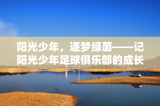 阳光少年，逐梦绿茵——记阳光少年足球俱乐部的成长故事，阳光少年逐梦绿茵，足球俱乐部成长记