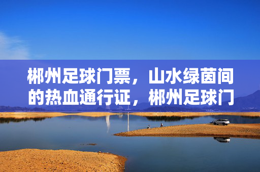 郴州足球门票，山水绿茵间的热血通行证，郴州足球门票，山水绿茵间的热血通行证