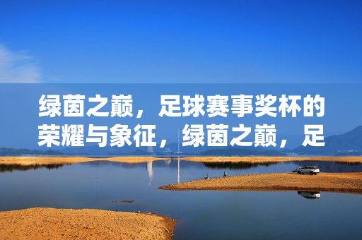绿茵之巅，足球赛事奖杯的荣耀与象征，绿茵之巅，足球奖杯的荣耀与象征