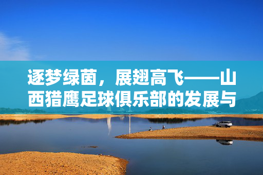 逐梦绿茵，展翅高飞——山西猎鹰足球俱乐部的发展与坚守，逐梦绿茵展翅高飞——山西猎鹰足球俱乐部的发展与坚守