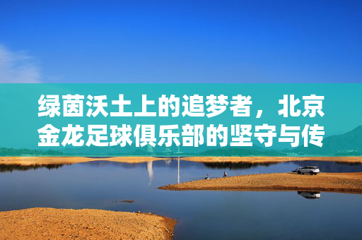 绿茵沃土上的追梦者，北京金龙足球俱乐部的坚守与传承，绿茵追梦，北京金龙的坚守与传承