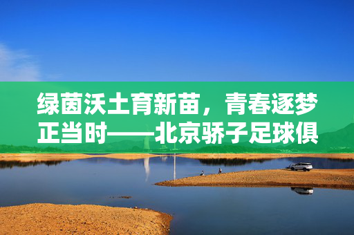 绿茵沃土育新苗,青春逐梦正当时——北京骄子足球俱乐部的成长与坚守,北京骄子足球俱乐部,绿茵沃土育新苗,逐梦守成长