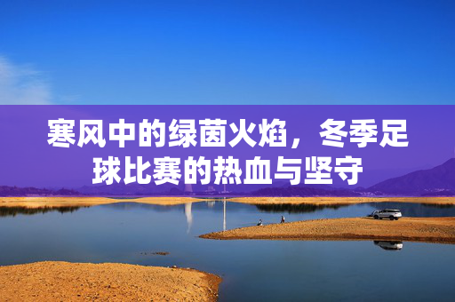寒风中的绿茵火焰，冬季足球比赛的热血与坚守