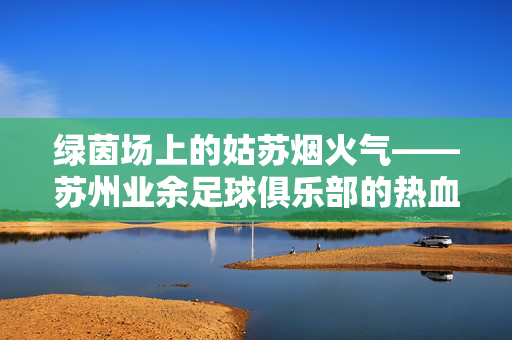 绿茵场上的姑苏烟火气——苏州业余足球俱乐部的热血与日常,姑苏绿茵烟火,业余足球的热血日常