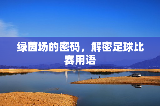绿茵场的密码，解密足球比赛用语