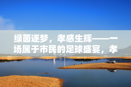 绿茵逐梦，孝感生辉——一场属于市民的足球盛宴，孝感绿茵逐梦，市民足球盛宴