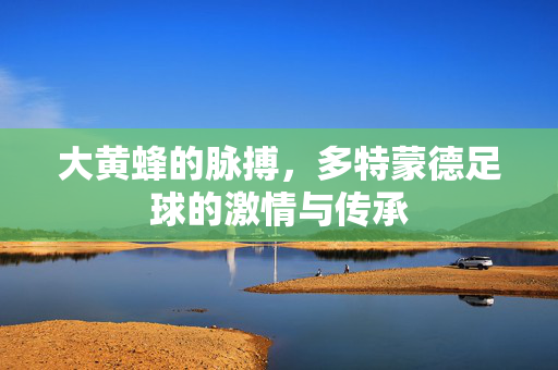 大黄蜂的脉搏，多特蒙德足球的激情与传承