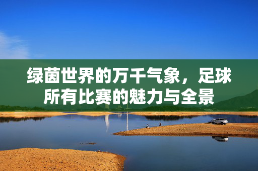 绿茵世界的万千气象,足球所有比赛的魅力与全景
